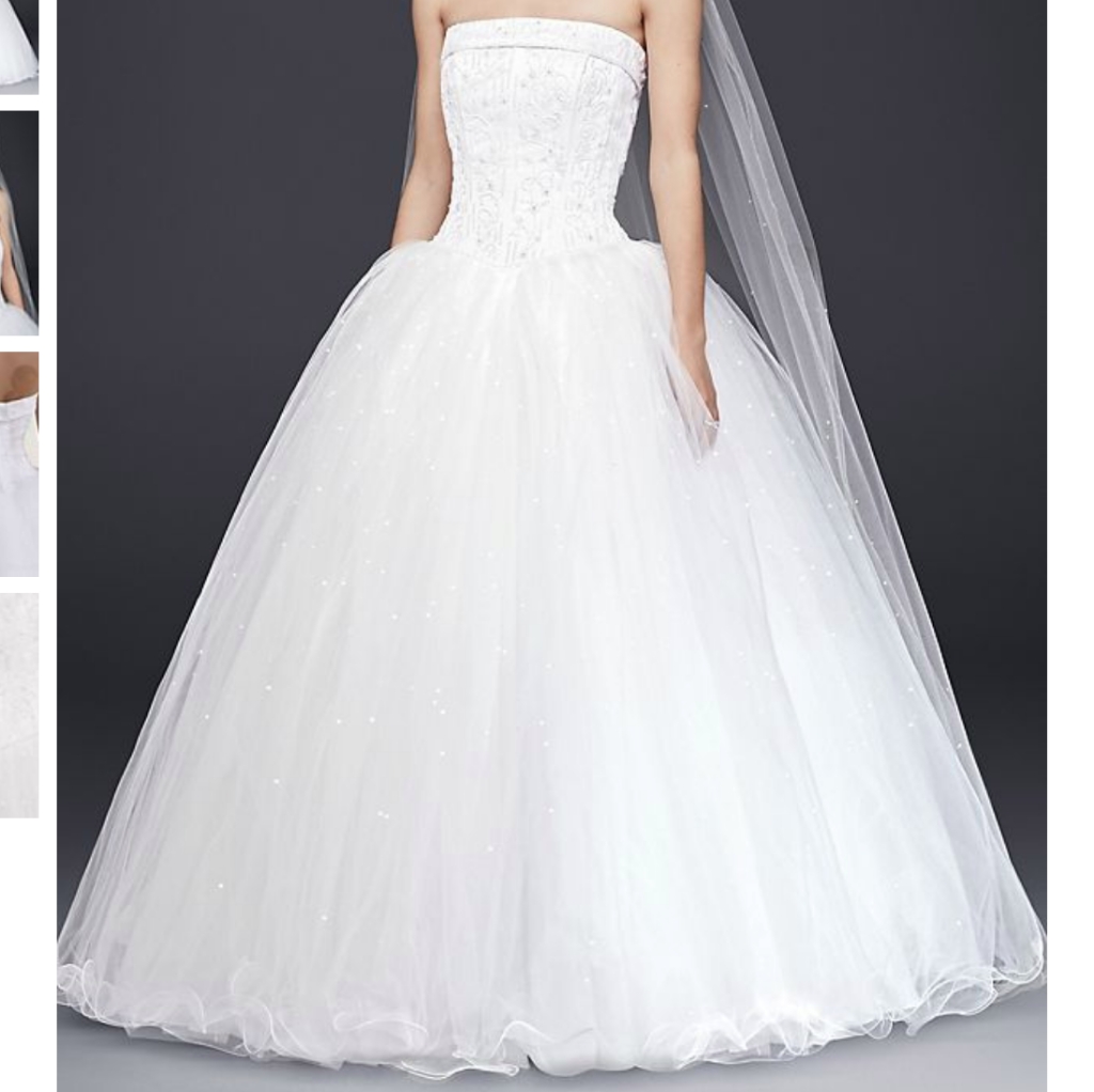 David's Bridal Beaded Ballgown